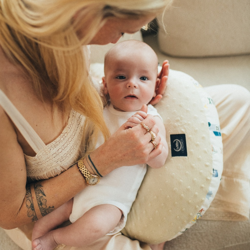 Grandma Dana's Hen Pillow Minky GRAND PRIX