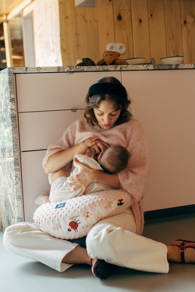 Grandma Dana's Hen Pillow Minky MIRELLA